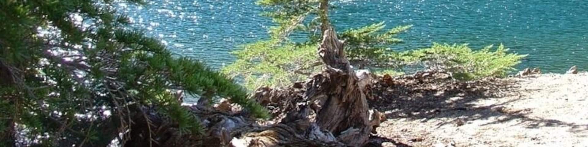A clear mountain lake surrounded by rocky cliffs and evergreen trees.