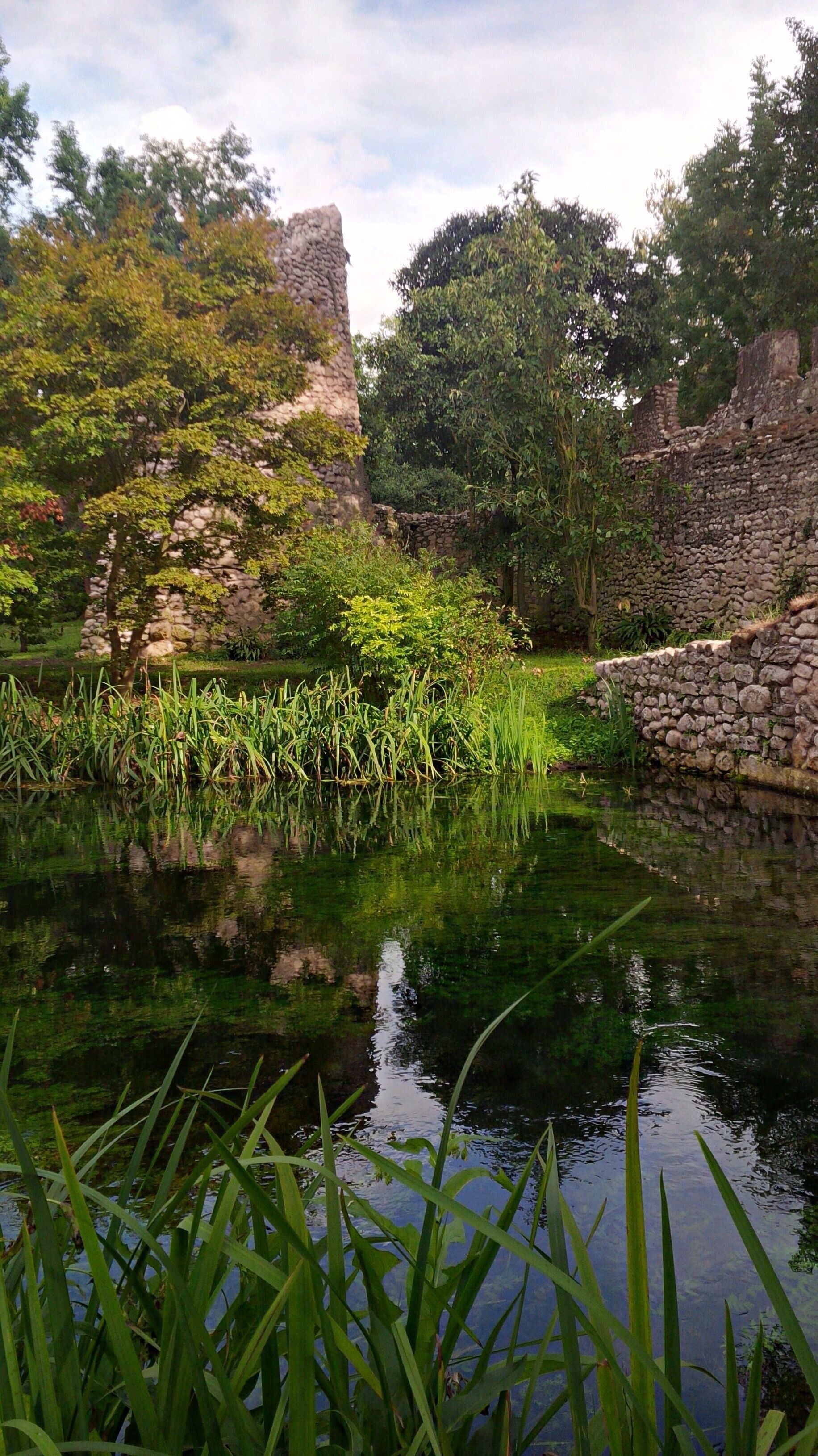 A pond surrounded by lush greenery and stone structures.