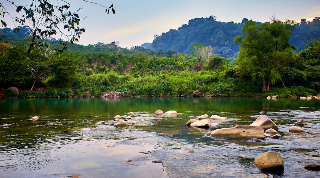 مارتينيز دي لا توري