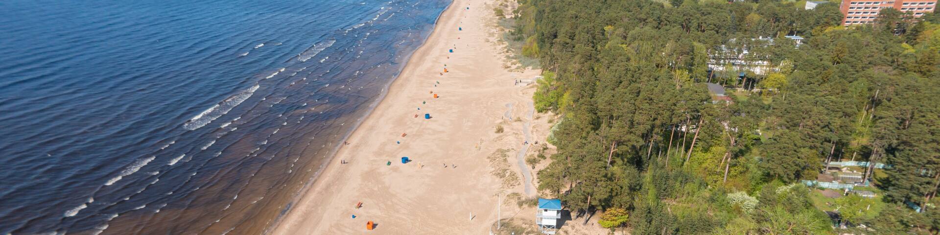 A coastal beach with a sandy shore, a forested area, and a distant bridge.