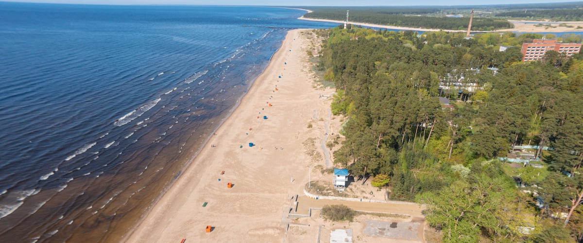 A coastal beach with a sandy shore, a forested area, and a distant bridge.