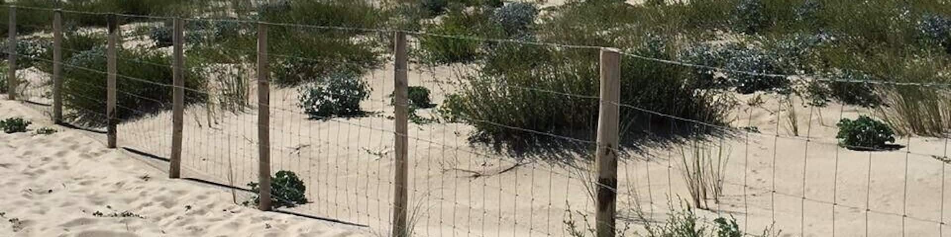 View on the Pyla from the ocean side #lifeatexpedia