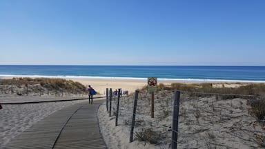 #vagueàgogo #airoceaniqueçafaitdubien rendez vous avec la nature