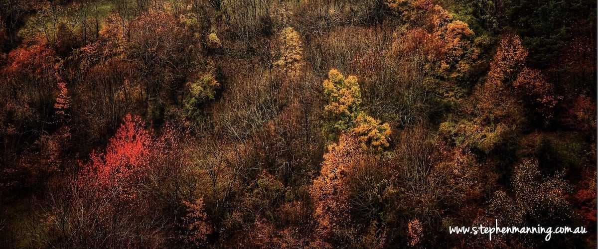 The road from Ainsa to Torla and on to Siresa takes you through the heart of the Pyrenees mountains in Northern Spain. It is some of the most breathtaking scenery I have travelled through, made even more special by the season.
The fall colours were simply stunning it was if an artist had gone mad and decided to used every colour on their palette. Misty grey clouds swept angrily across the mountains adding drama of the landscape.
The road was extremely challenging especially in a motorhome, but I am so glad we did it. The day was a complete sensory overload and will be long remembered.