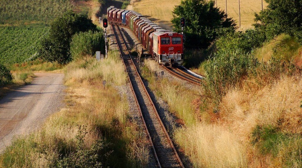 Sant Fruitós de Bages