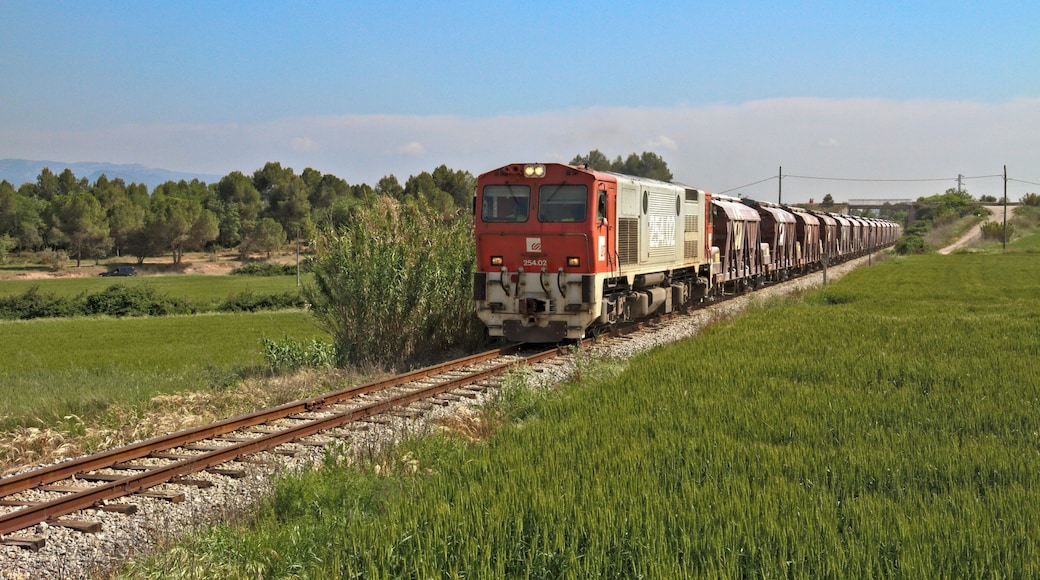 Sant Fruitós de Bages