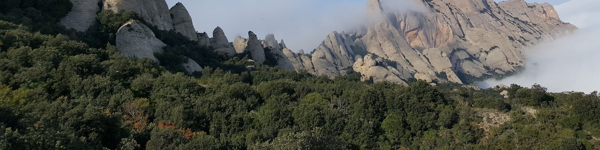 Muntanya de Montserrat. Vista des del pla de la Trinitat