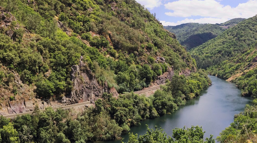 Railway in the canyon of the river Sil, Ribeira Sacra, Galicia, Spain.