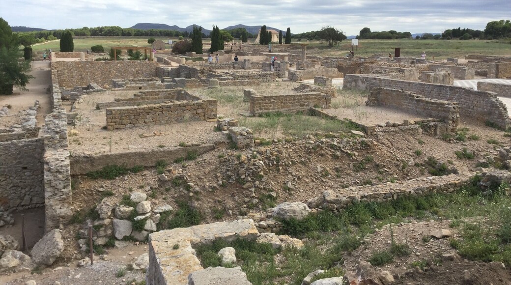 This is the ruins de Empúries at L'Escala -Spain, well worth a visit to see the Roman village and the Greek village.