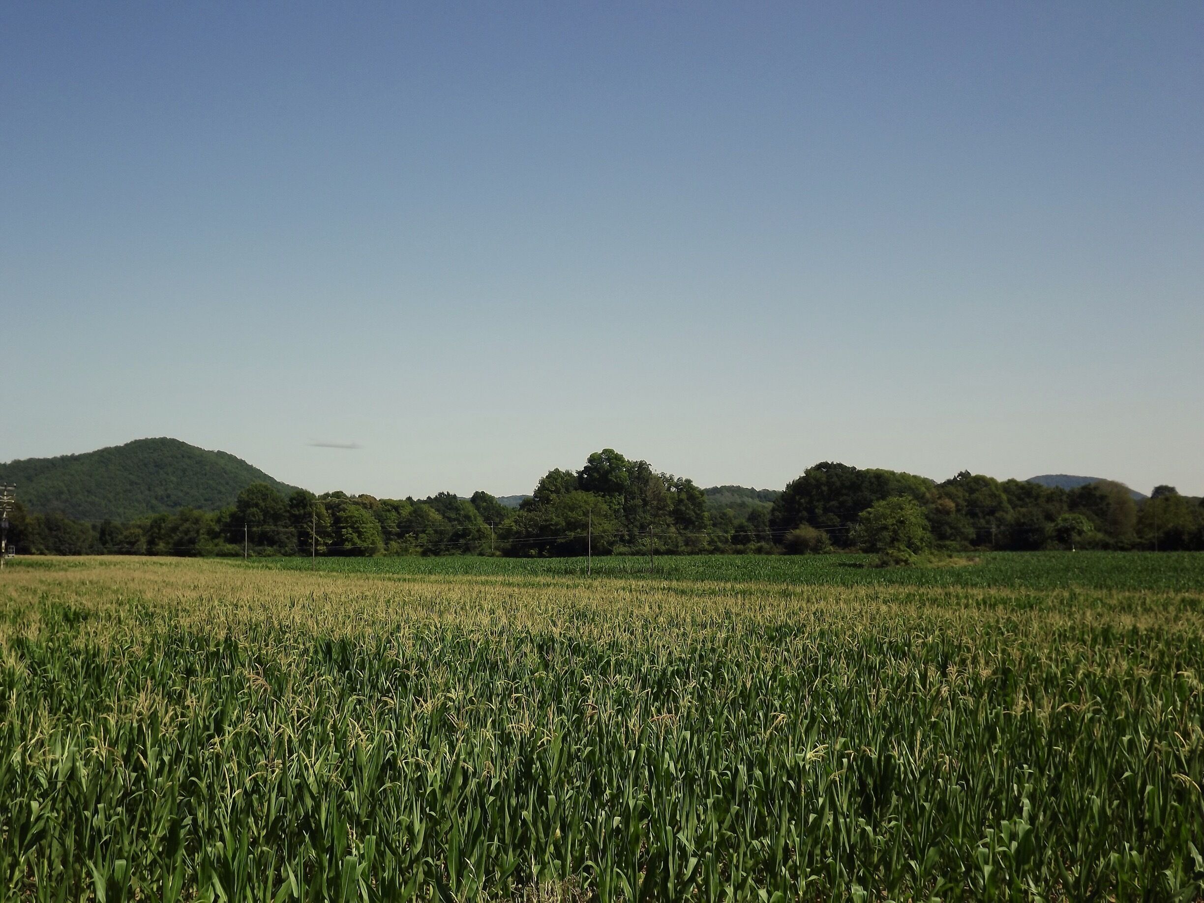 Olot, Catalonia (Spain). #mountain #olot #garrotxa #catalonia