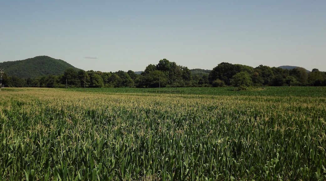 Olot, Catalonia (Spain). #mountain #olot #garrotxa #catalonia