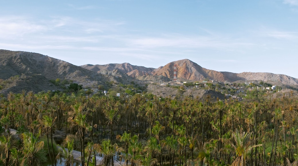 panorama of mulege