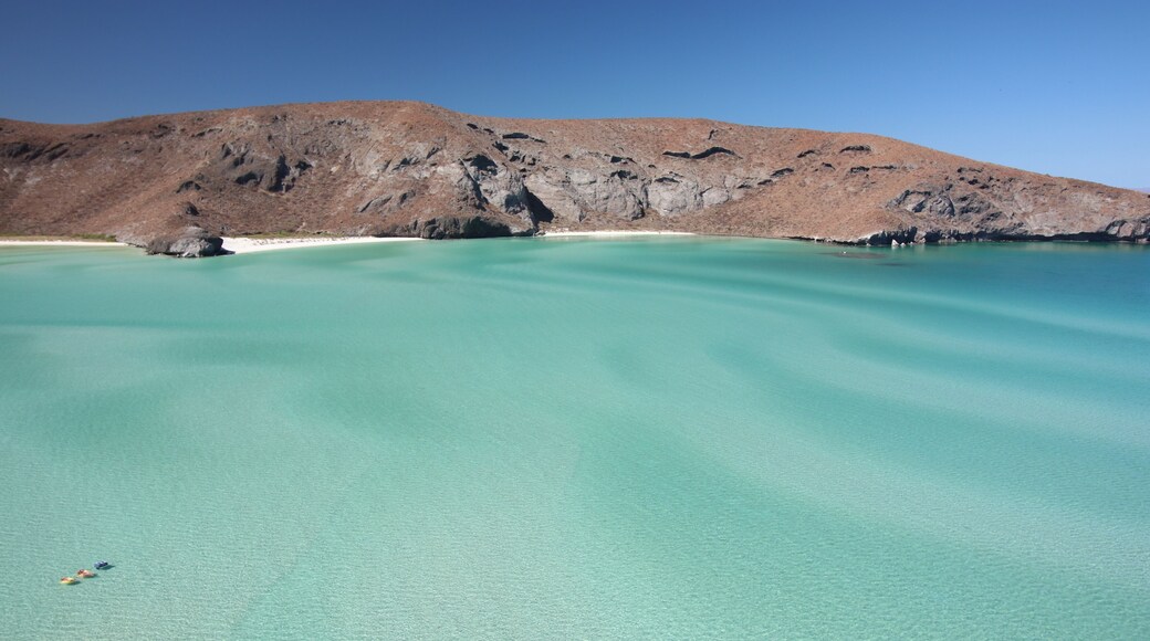 Turistas descansando en Playa Balandra, una de las más bonitas de todo México