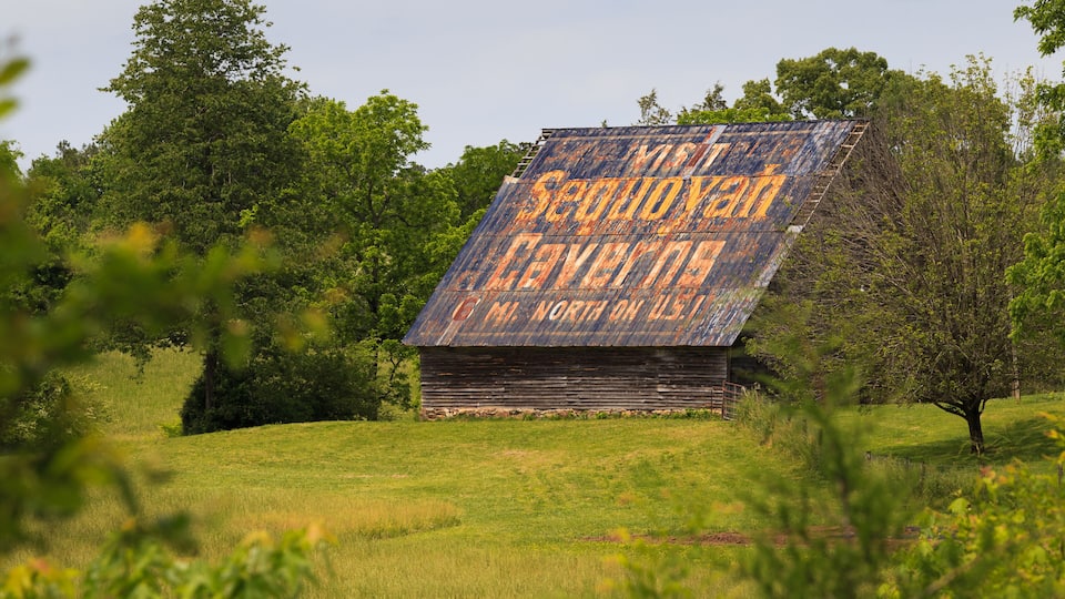 A weathered barn with a large sign on its roof in a grassy field surrounded by trees.