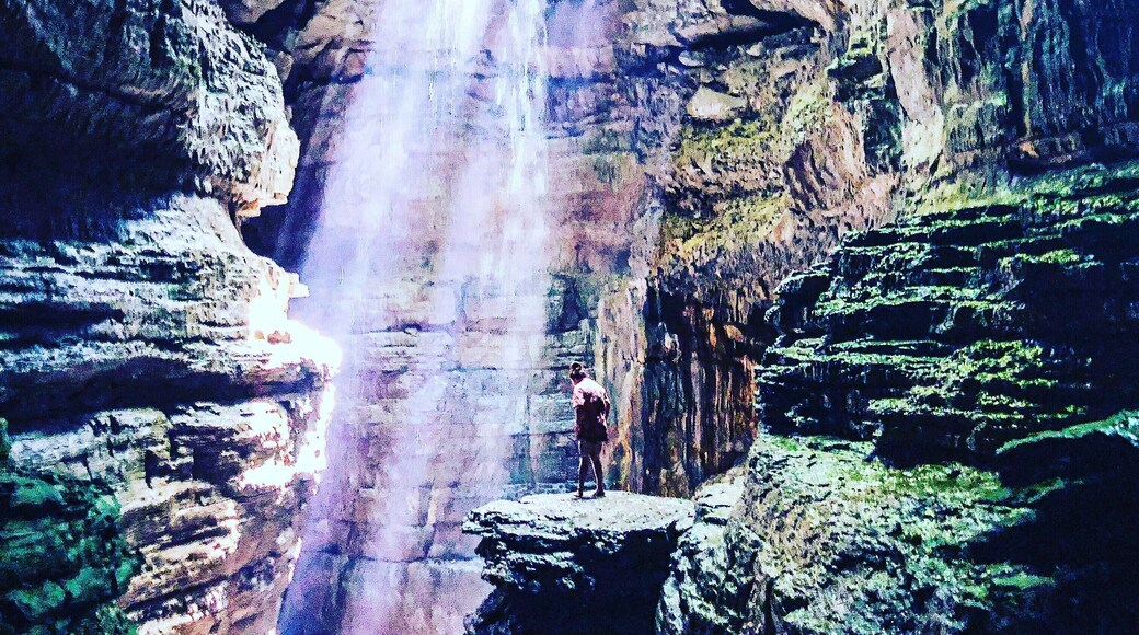 You never know what is in your backyard! We have lived in Huntsville our whole lives and never knew of this place! Heck, my dad and grandad lived here theirs whole lives and never knew. We love to hike, kayak, anything to get us outside here in Alabama. We found this beautiful Stephens Gap Cave on the Southeastern Cave Conservatory and had to check it out. It did not dissappoint! #culture