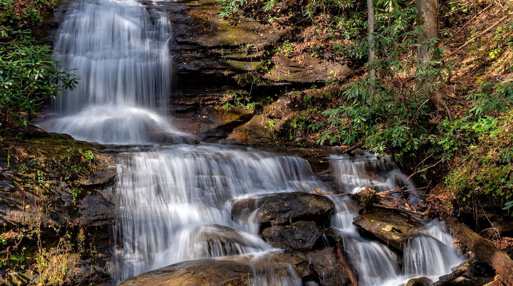 Parc d'état de DeSoto