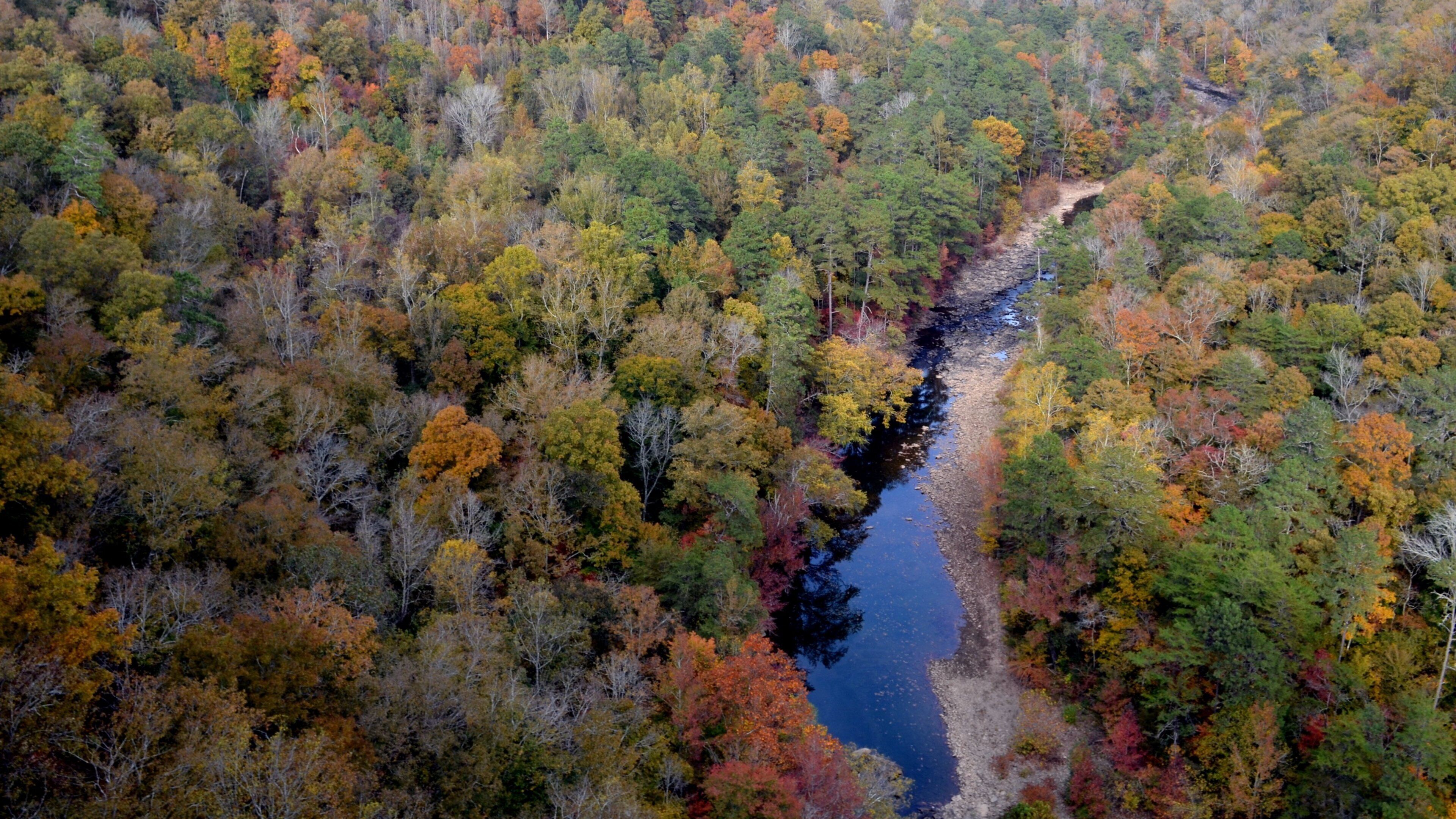 Little River Canyon National Preserve que incluye situaciones tranquilas y un río o arroyo