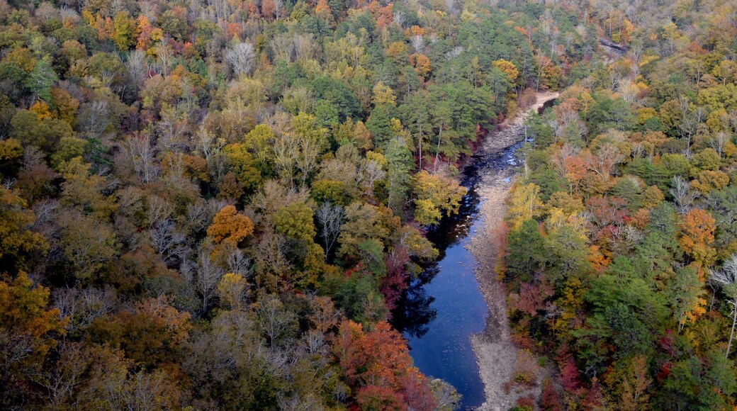Little River Canyon National Preserve que incluye situaciones tranquilas y un río o arroyo