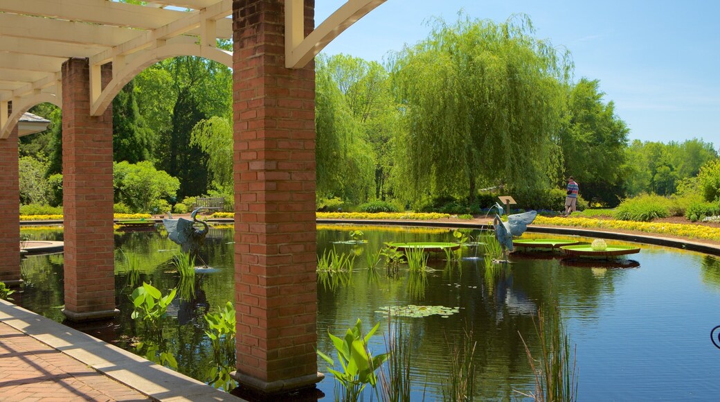 Huntsville Botanical Garden showing a park and a fountain
