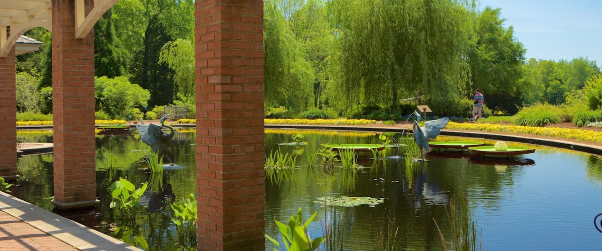 Huntsville Botanical Garden showing a park and a fountain