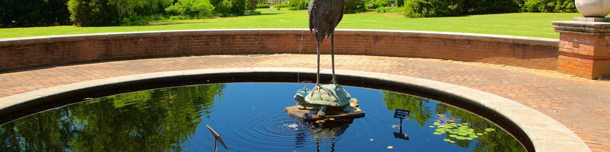 Huntsville Botanical Garden featuring a fountain and a park