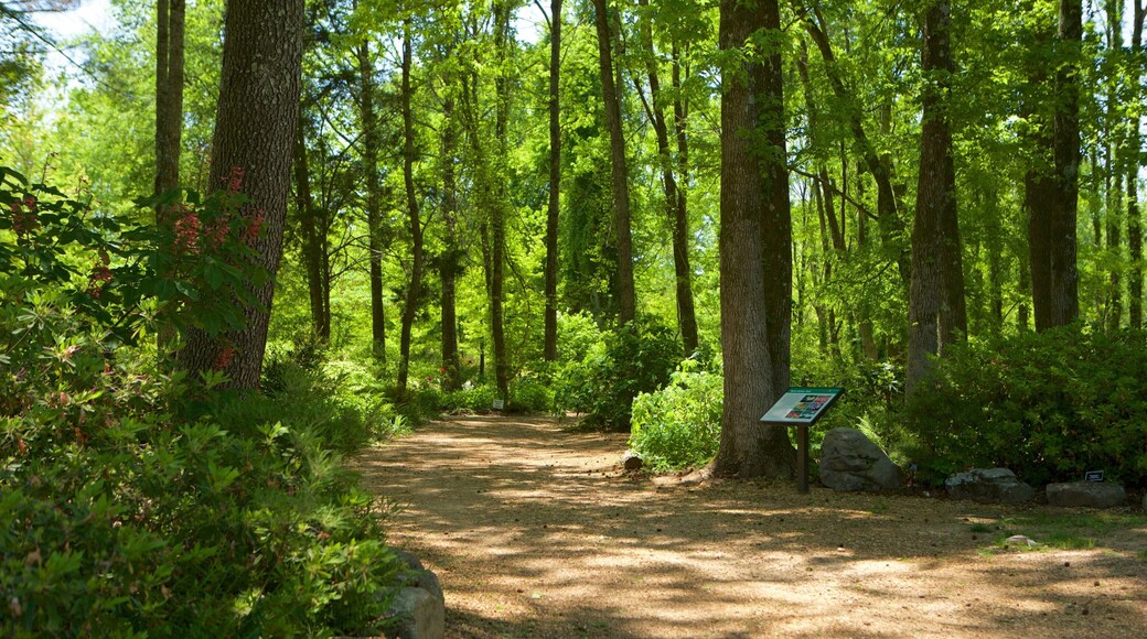 Huntsville Botanical Garden showing forest scenes and a garden