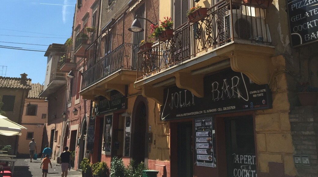 Great old town with castle