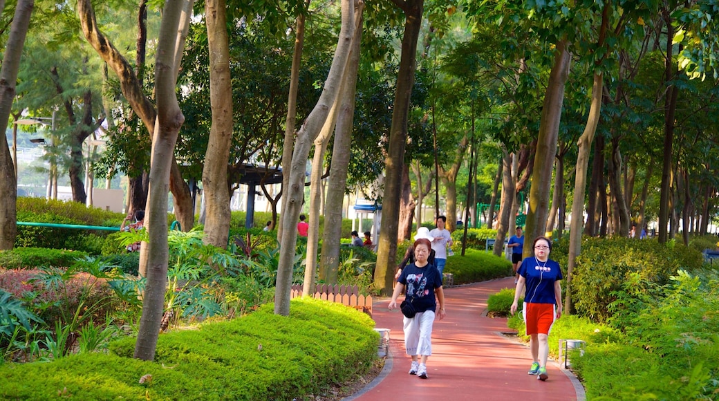 Victoria Park featuring a park