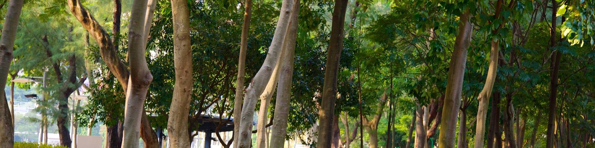 Victoria Park featuring a park