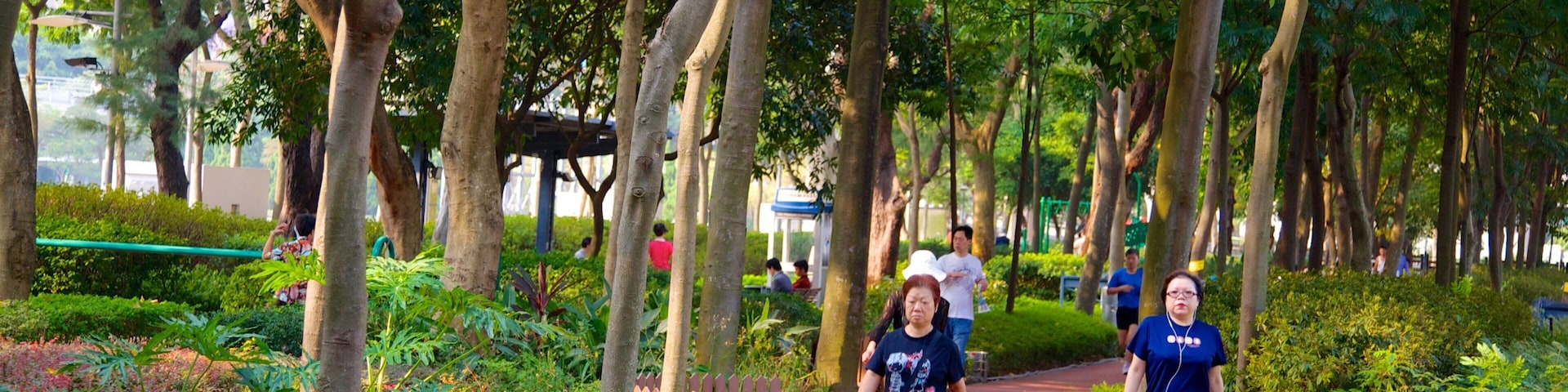 Victoria Park featuring a park