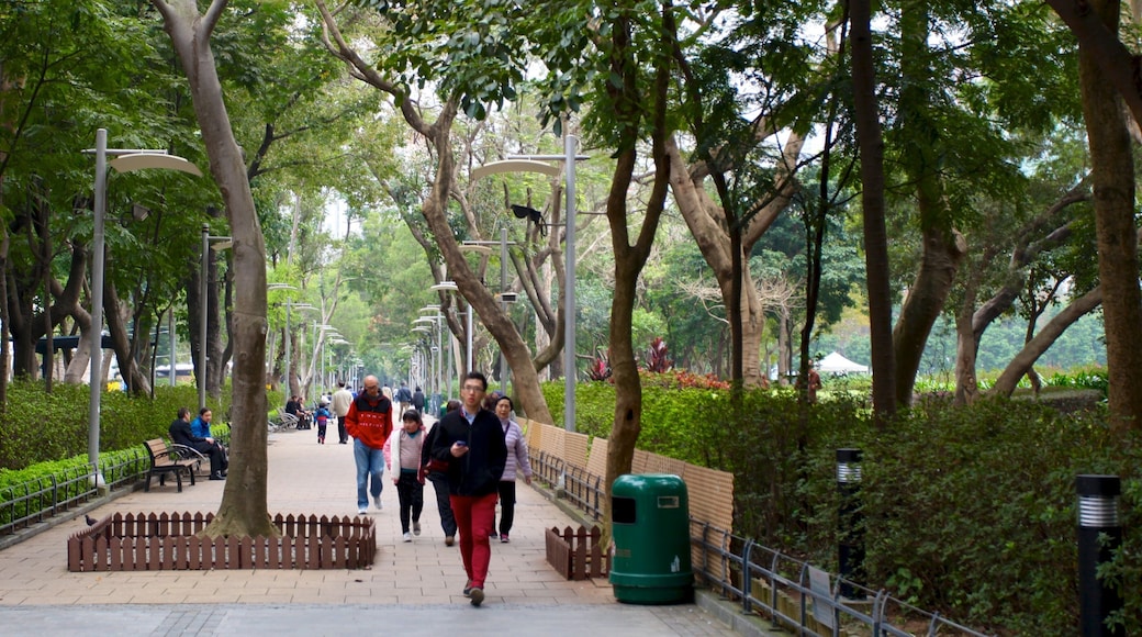 Victoria Park showing a park