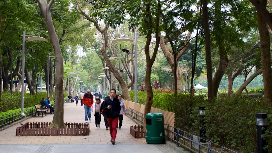 Victoria Park showing a park