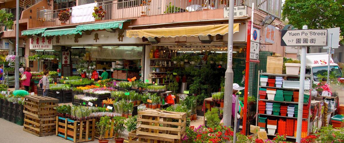 ์ ์ํฌ ์์์ฅ ์ ๋ณด์ฌ์ฃผ๋ ๊ฝ ๊ณผ ์์ฅ