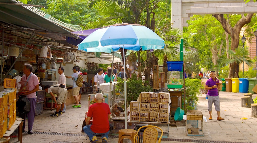Yuen Po Bird Market que incluye mercados y también un gran grupo de personas
