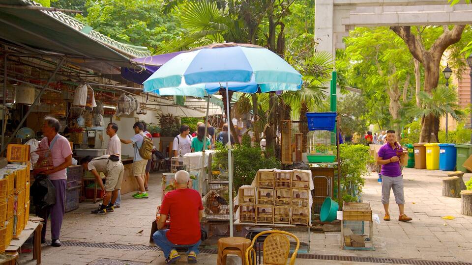Yuen Po Bird Market featuring markets as well as a large group of people
