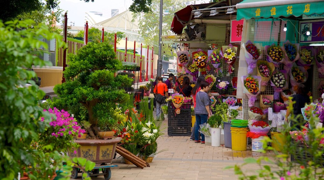Yuen Po Bird Market showing flowers and markets