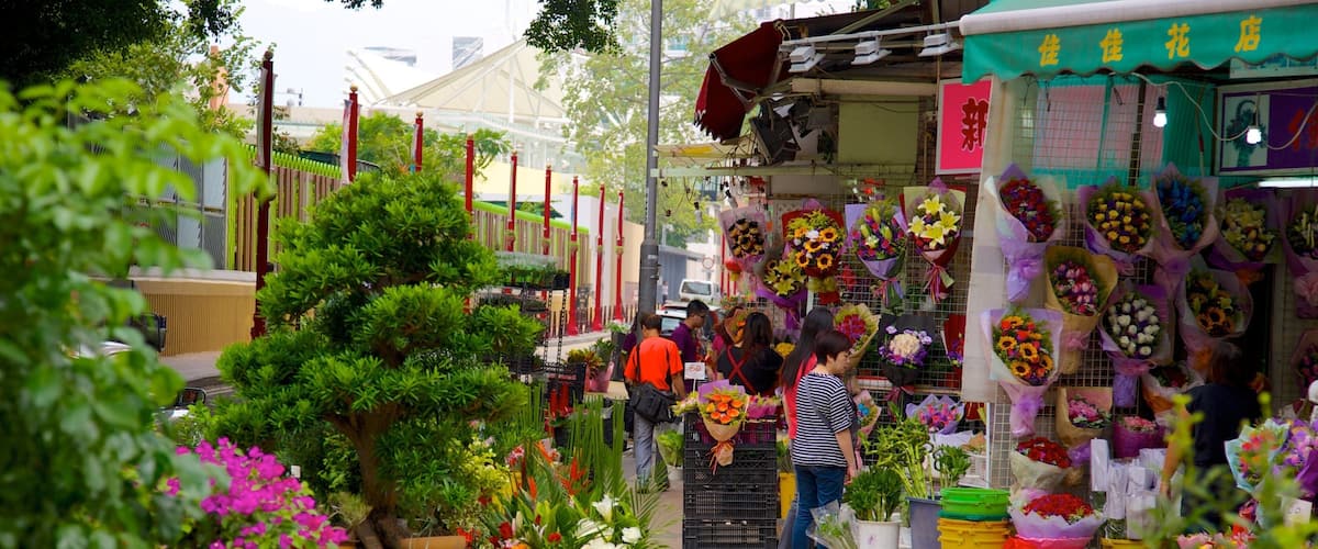 Yuen Po Bird Market showing flowers and markets