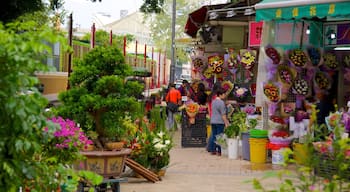 園圃街雀仔街 呈现出 市集 和 花卉