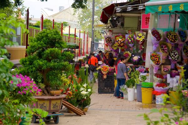 Yuen Po Bird Market johon kuuluu markkinat ja kukat