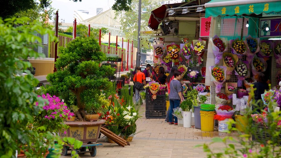 Yuen Po Bird Market caratteristiche di mercati e fiori