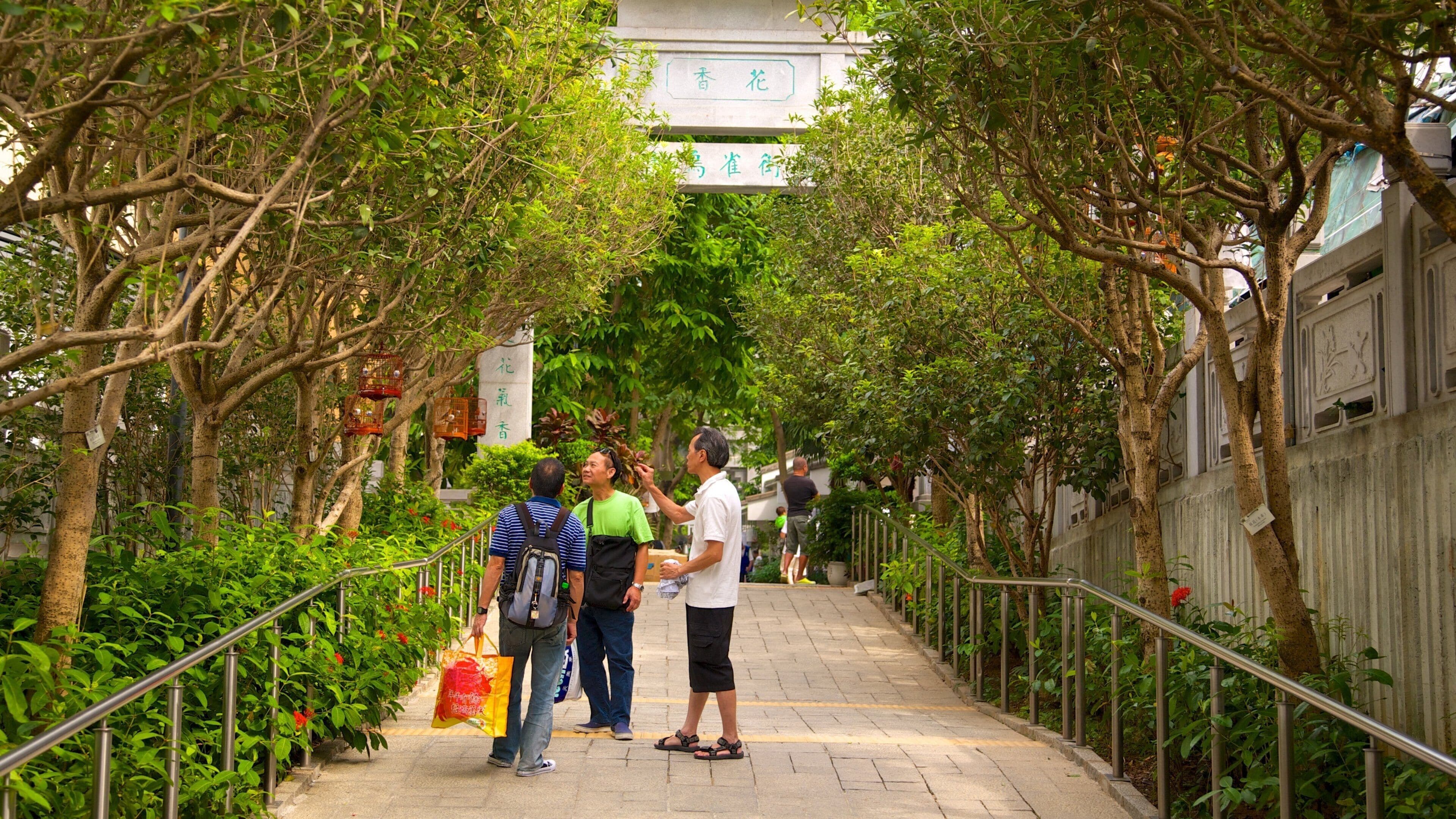 Yuen Po Bird Market which includes a park