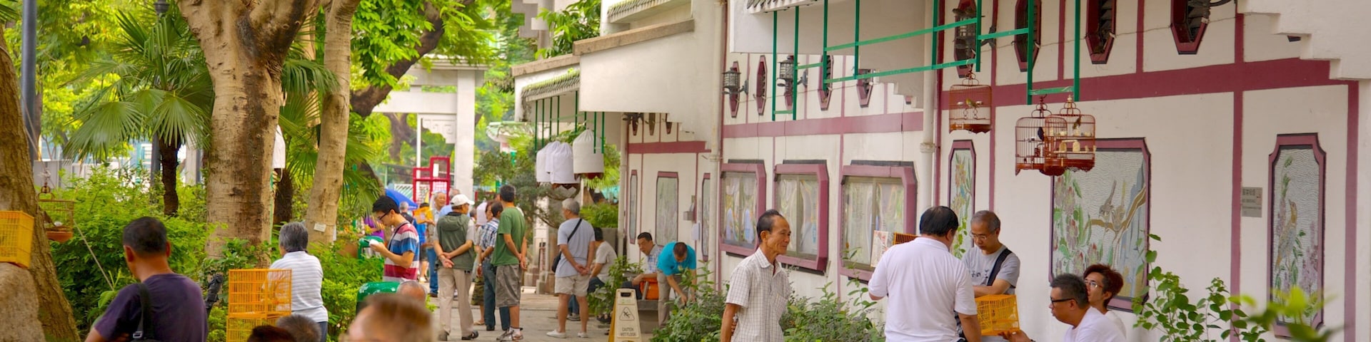 Yuen Po Bird Market as well as a large group of people