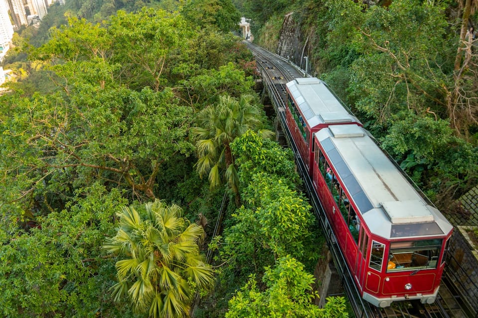 A red train traveling through a dense forest with a bridge over a river.