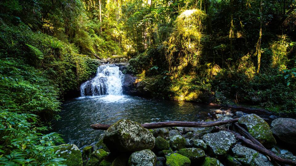 Stunning powerful waterfall spotted while hiking the Canungra Creek Circuit trail, Lamington (O'Reilly's) National Park, Gold Coast, Queensland, Australia