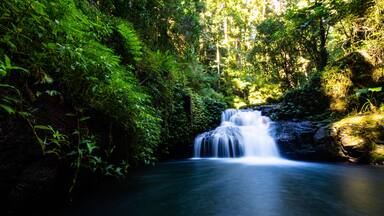 Stunning powerful waterfall spotted while hiking the Canungra Creek Circuit trail, Lamington (O'Reilly's) National Park, Gold Coast, Queensland, Australia