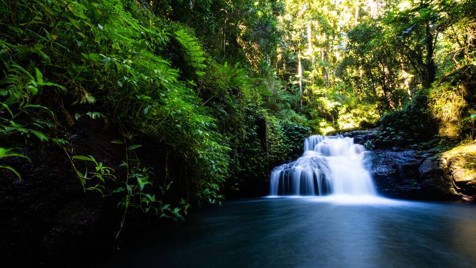 Stunning powerful waterfall spotted while hiking the Canungra Creek Circuit trail, Lamington (O'Reilly's) National Park, Gold Coast, Queensland, Australia