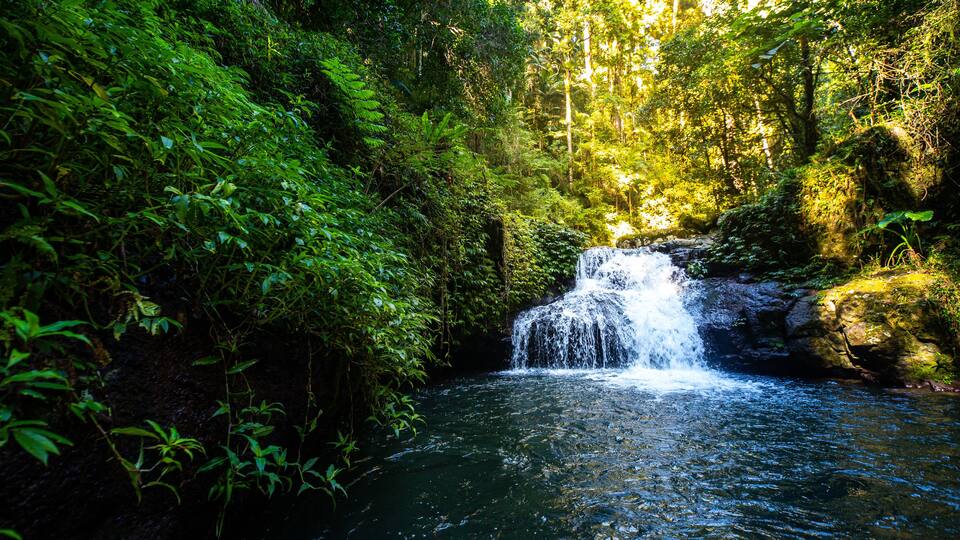 Stunning powerful waterfall spotted while hiking the Canungra Creek Circuit trail, Lamington (O'Reilly's) National Park, Gold Coast, Queensland, Australia