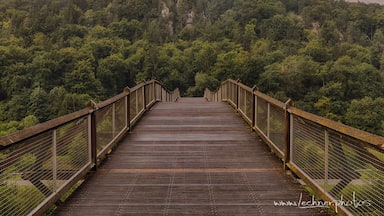 Nice curving wooden passenger bridge. Great shot to the left and right up and down the AltmĂŒhl River, too