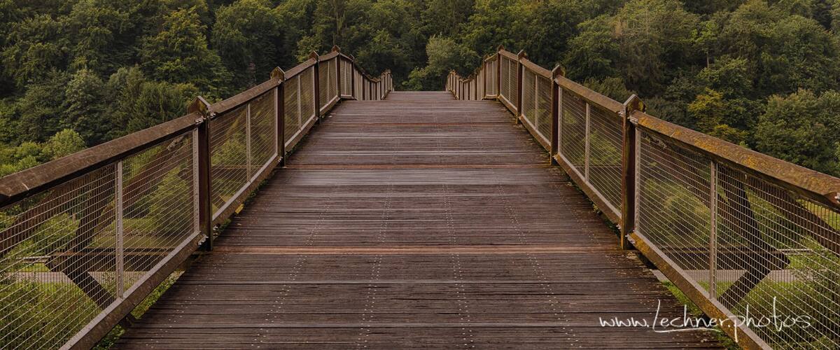 A wooden bridge with metal railings leading into a forested hillside.