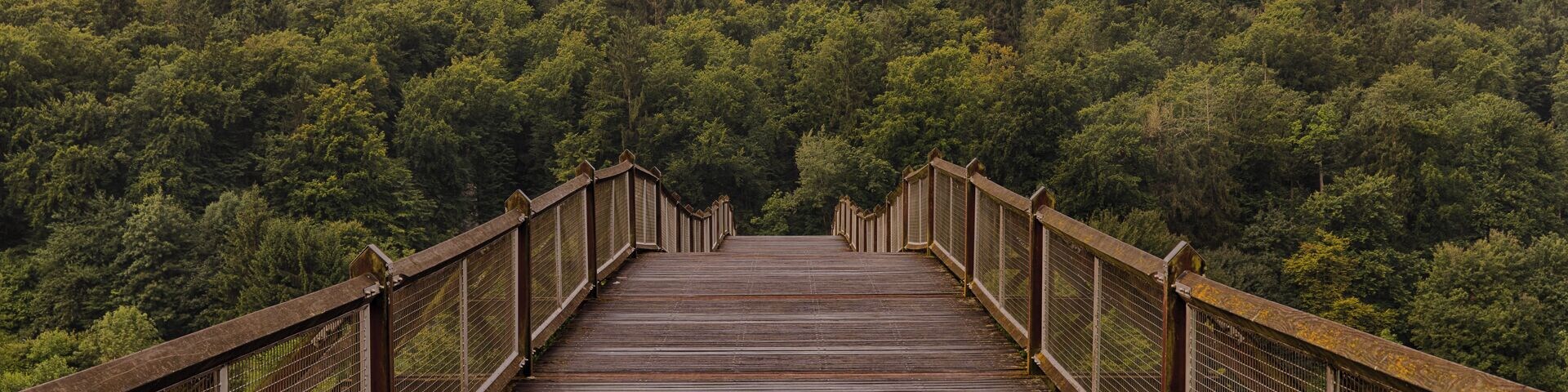 A wooden bridge with metal railings leading into a forested hillside.